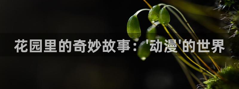 行业资讯